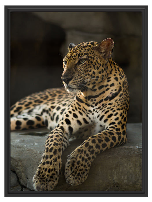 Majestäischer Leopard Schattenfugenrahmen 80x60