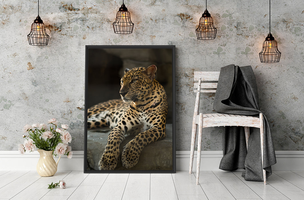 Majestäischer Leopard Schattenfugenrahmen Wohnzimmer