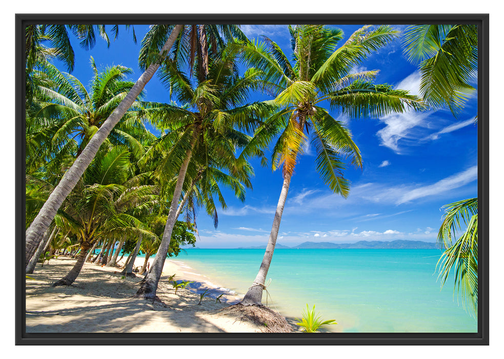 Pixxprint Palmen Traumstrand, im Schwebe-Effekt Bilderrahmen