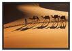 Kamelkarawane in der Wüste Schattenfugenrahmen 100x70