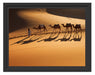 Kamelkarawane in der Wüste Schattenfugenrahmen 38x30