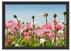 Blumenwiese Mohnblumen Schattenfugenrahmen 55x40