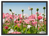 Blumenwiese Mohnblumen Schattenfugenrahmen 80x60