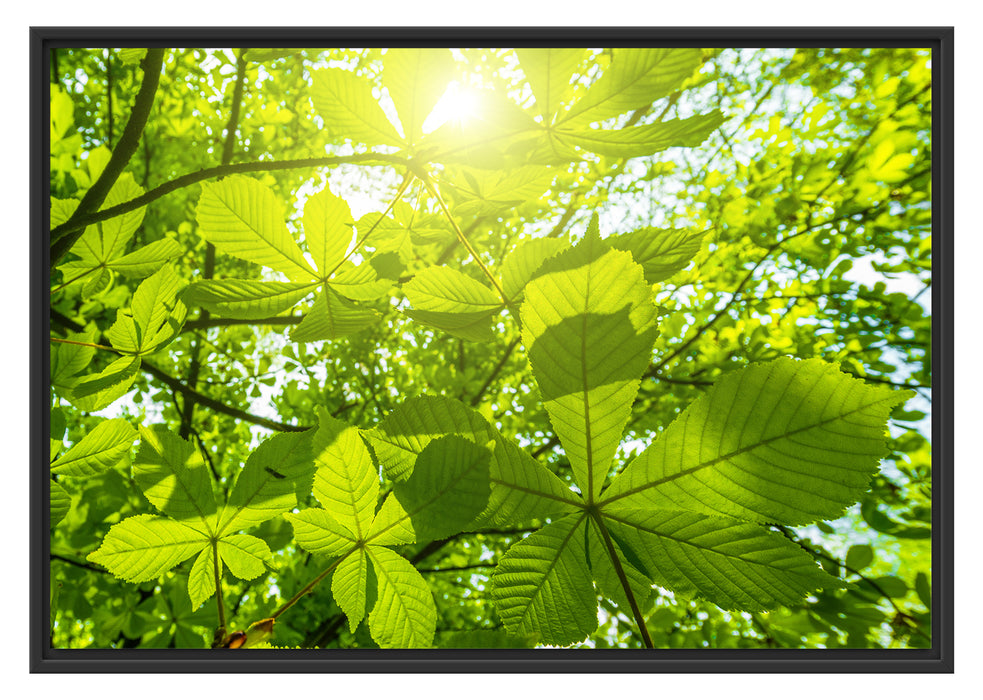 Pixxprint Grüne Bläter, im Schwebe-Effekt Bilderrahmen