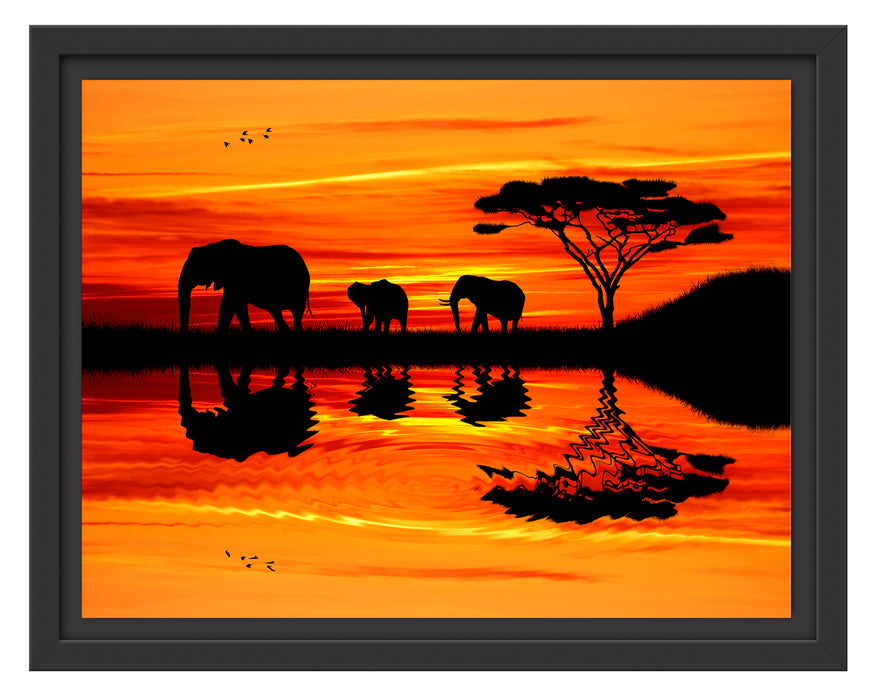 Afrika Elefant in Sonnenschein Schattenfugenrahmen 38x30