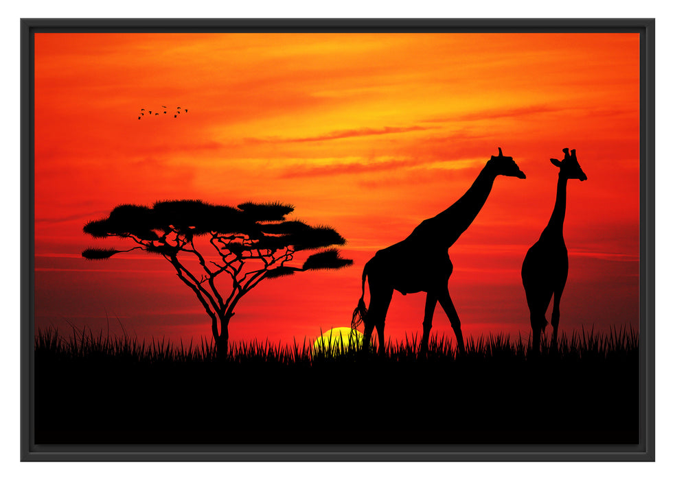 Pixxprint Afrika Giraffen im Sonnenuntergang, im Schwebe-Effekt Bilderrahmen