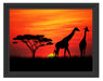Afrika Giraffen im Sonnenuntergang Schattenfugenrahmen 38x30