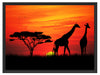Afrika Giraffen im Sonnenuntergang Schattenfugenrahmen 80x60