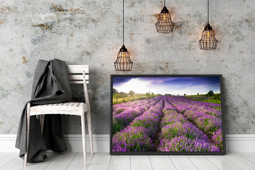 Lavendelfeld Provence Schattenfugenrahmen Wohnzimmer