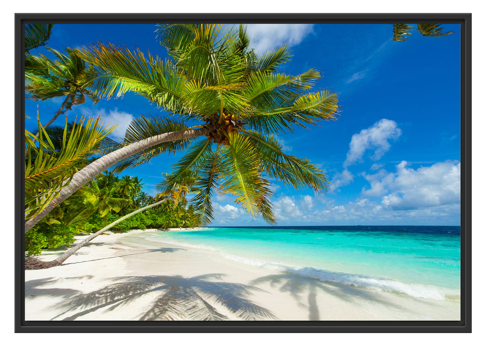 Pixxprint Palmenstrand, im Schwebe-Effekt Bilderrahmen