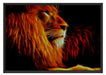 Löwe Natur Afrika Schattenfugenrahmen 100x70