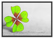 Einzelnes grünes Kleeblatt Schattenfugenrahmen 100x70