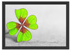 Einzelnes grünes Kleeblatt Schattenfugenrahmen 55x40