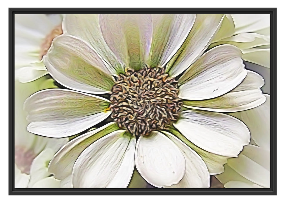 Pixxprint weiße Blüte, im Schwebe-Effekt Bilderrahmen