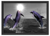 Fröhliche Delfine springen im Meer Schattenfugenrahmen 55x40