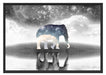 Einsamer Elefant Schattenfugenrahmen 100x70