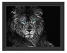 Dark Abstrakter Löwe Schattenfugenrahmen 38x30