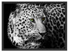 Dark Leopard mit grünen Augen Schattenfugenrahmen 80x60