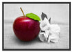 Schöner roter Apfel mit Blüten Schattenfugenrahmen 100x70
