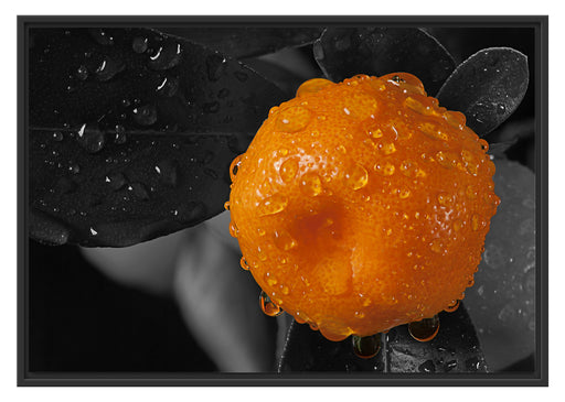 Orange mit Wassertropfen Schattenfugenrahmen 100x70