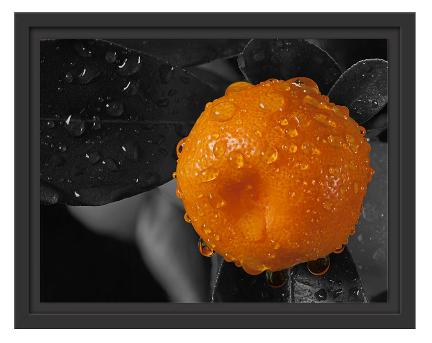 Orange mit Wassertropfen Schattenfugenrahmen 38x30