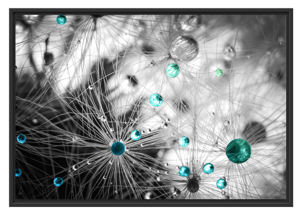 Pixxprint Wassertropfen auf Pusteblume, im Schwebe-Effekt Bilderrahmen