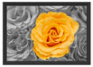 gelbe Rose im Rosenmeer Schattenfugenrahmen 55x40