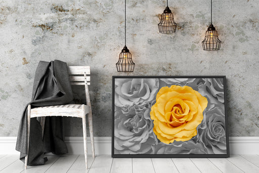 gelbe Rose im Rosenmeer Schattenfugenrahmen Wohnzimmer