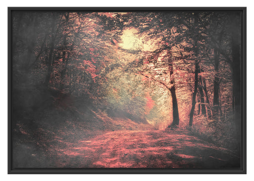 Waldstraße im Herbst Schattenfugenrahmen 100x70