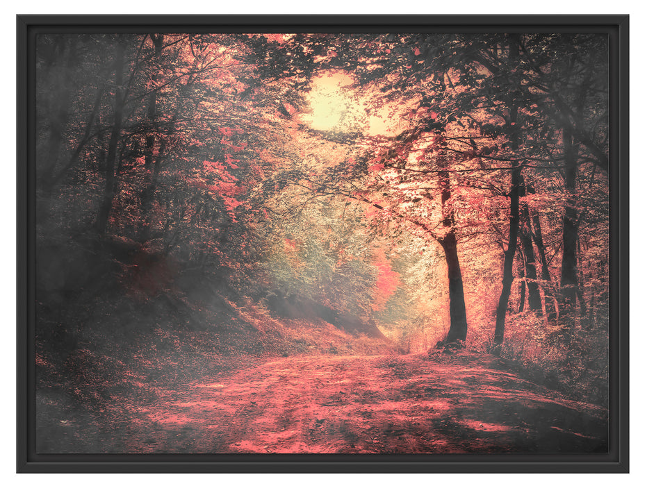 Waldstraße im Herbst Schattenfugenrahmen 80x60