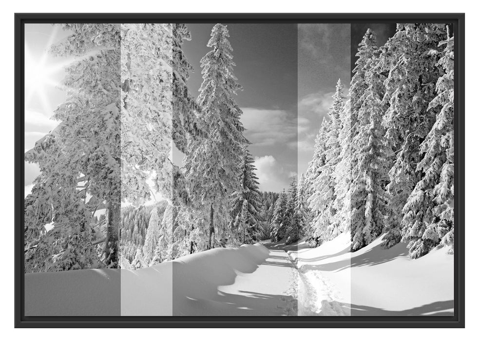 Pixxprint Winterlandschaft mit Bäumen, im Schwebe-Effekt Bilderrahmen