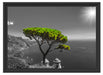 Baum am Mittelmeer Schattenfugenrahmen 55x40