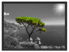 Baum am Mittelmeer Schattenfugenrahmen 80x60
