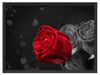 rote Rosen zum Valentinstag Schattenfugenrahmen 80x60