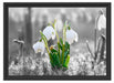Schneeglöckchen im Morgentau Schattenfugenrahmen 55x40