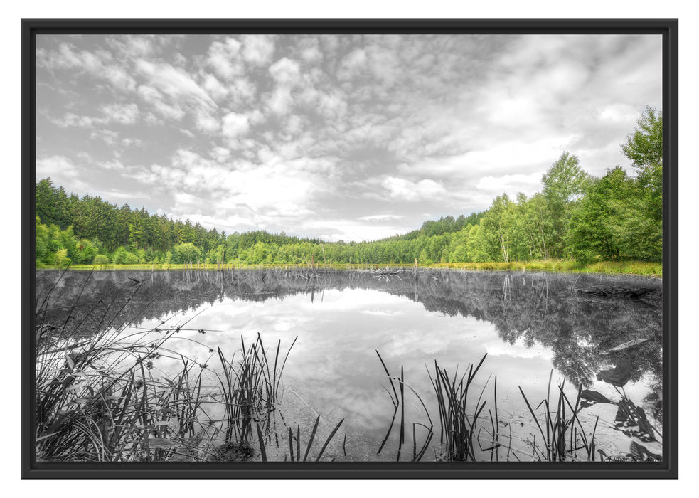 Pixxprint traumhafter See in grünem Wald, im Schwebe-Effekt Bilderrahmen