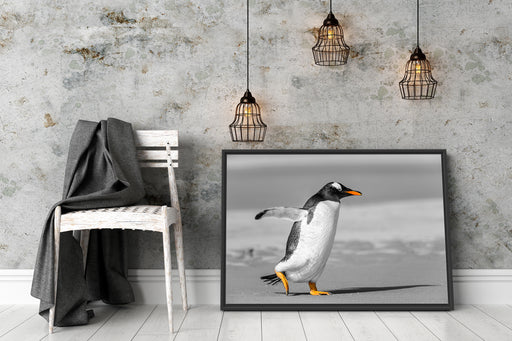 watschelnder Pinguin am Strand Schattenfugenrahmen Wohnzimmer