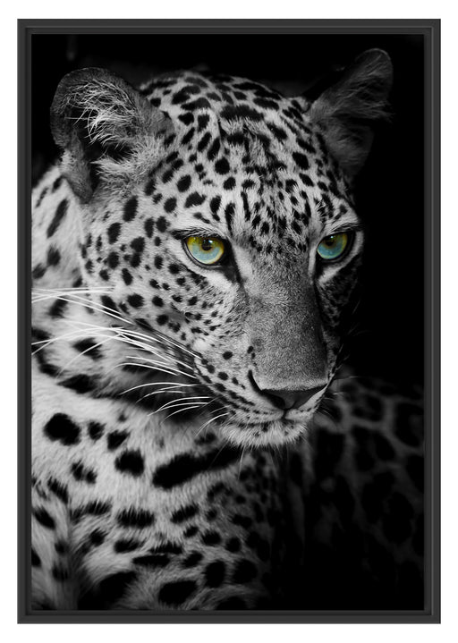 Leopardenkopf Schattenfugenrahmen 100x70