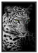 Leopardenkopf Schattenfugenrahmen 100x70