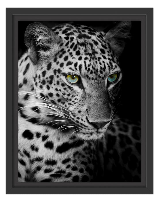 Leopardenkopf Schattenfugenrahmen 38x30