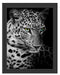Leopardenkopf Schattenfugenrahmen 38x30
