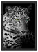 Leopardenkopf Schattenfugenrahmen 55x40