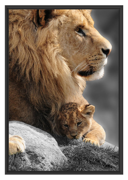 Löwe mit Löwenbaby Schattenfugenrahmen 100x70