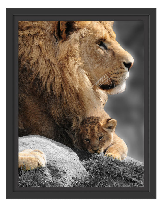 Löwe mit Löwenbaby Schattenfugenrahmen 38x30