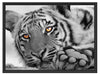 entspannter Tiger Schattenfugenrahmen 80x60
