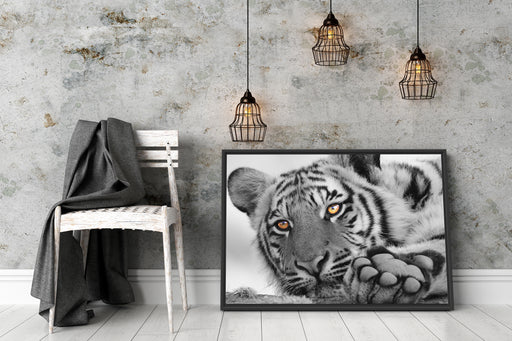 entspannter Tiger Schattenfugenrahmen Wohnzimmer