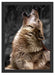 Anmutiger Heulender Wolf Schattenfugenrahmen 55x40