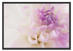 Blüte mit lila Blütenbläter Schattenfugenrahmen 100x70