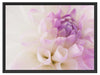 Blüte mit lila Blütenbläter Schattenfugenrahmen 80x60