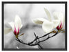 Magnolienblüten Schattenfugenrahmen 80x60